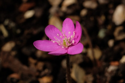 DSCF5584_3053.JPG