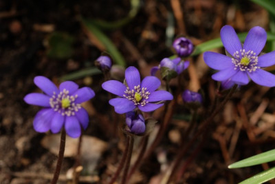 DSCF5589_3054.JPG