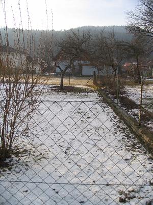 Platz_fur_Dufthecke_02.JPG