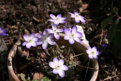 IMG_0001_Bildgröße ändern 1.JPG