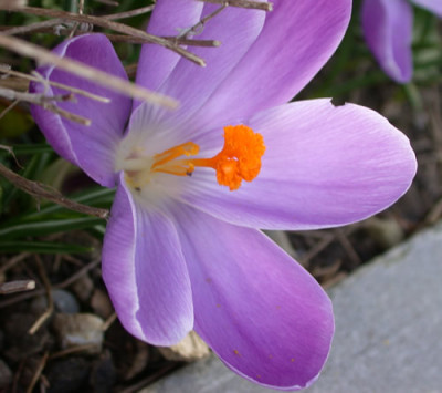DSCN2365_Stempel_.jpg