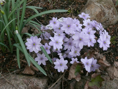 b0404178_800.jpg