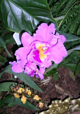 DSCN9268.jpg
