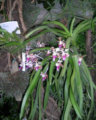 DSCN9270.jpg