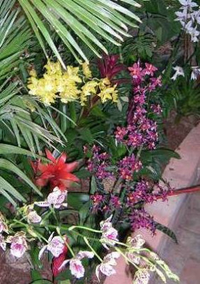 DSCN9282_kl.jpg