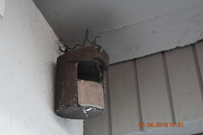 Vogelkasten 001.JPG