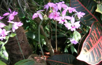 DSCN9291.jpg