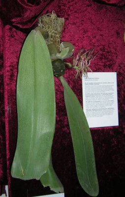 DSCN9292.jpg