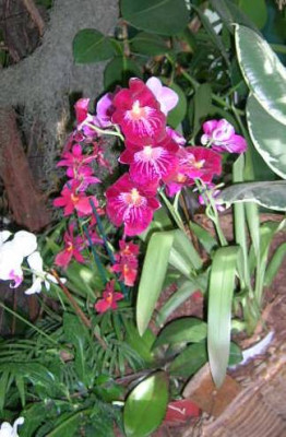 DSCN9297.jpg