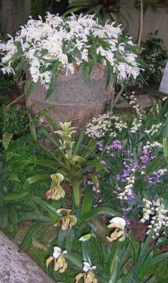 DSCN9320__kl.jpg
