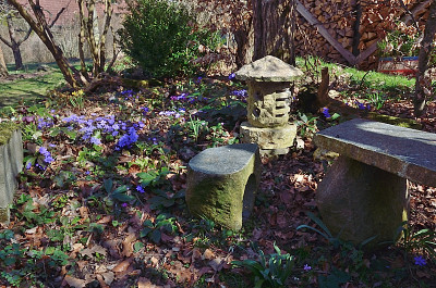 DSC_2388-SteinBlümchen_019.JPG