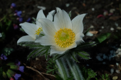 DSCF5699_3069.JPG