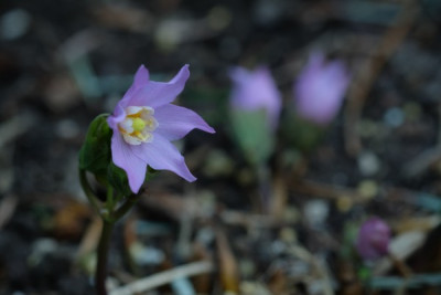 DSCF5691_3074.JPG