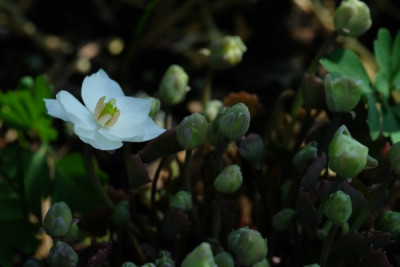 DSCF5709_3068.JPG