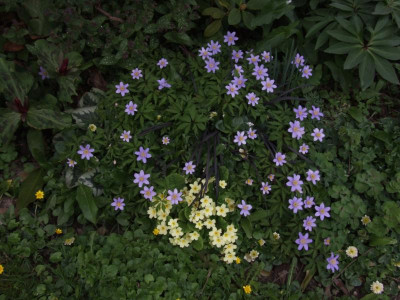 DSCF5015.JPG