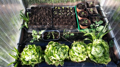 20180406_Garten2.jpg