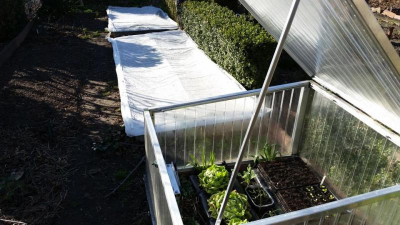 20180406_Garten1.jpg