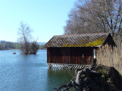Bettenauer_Weiher_11.03.2007.JPG