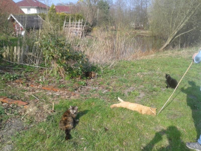 20180411_170420.jpg
