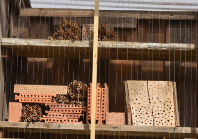 wildbienenhaus_neu_02.jpg