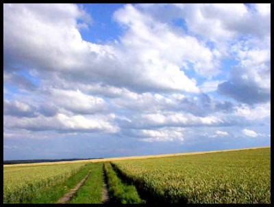 Sommersonne.jpg