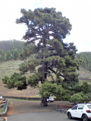 P2200041-2.jpg