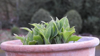 DSCN2379.JPG