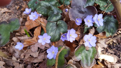20180406_154157.jpg