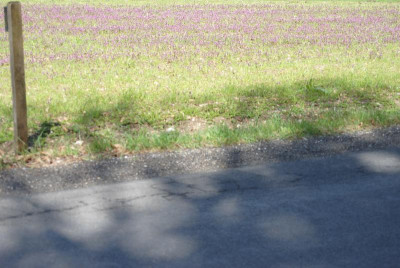 DSC_0019.JPG
