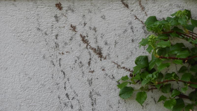DSCN2388.JPG