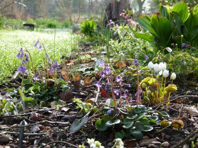2018-04-15 Gartenimpressionen.jpg