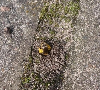 _20180415_152917.JPG