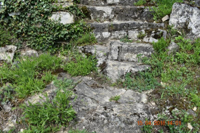 Burgberg Steinheim 016.JPG