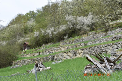 Burgberg Steinheim 002.JPG