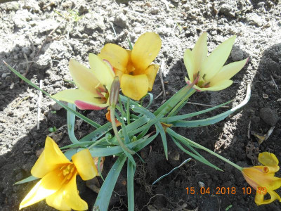 DSCN4752.JPG
