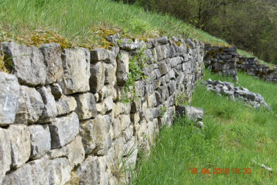 Burgberg Steinheim 005.JPG