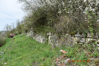 Burgberg Steinheim 009.JPG