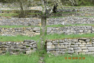 Burgberg Steinheim 004.JPG