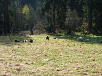 P1180845.JPG