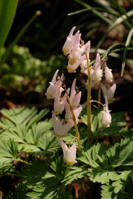 DSCF5833_3116.JPG