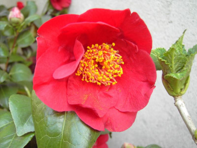 PICT2032.JPG
