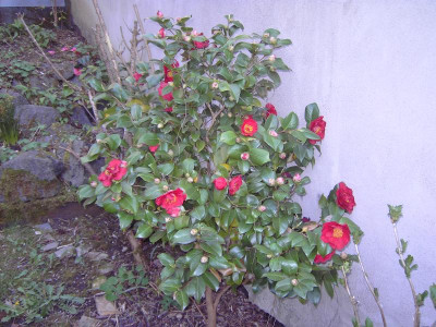 PICT2029.JPG