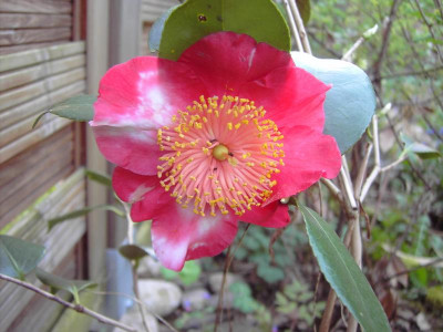 PICT2042.JPG