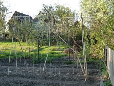 tg_180418_3.jpg