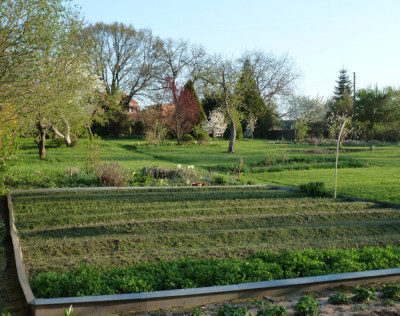 tg_180418_4.jpg