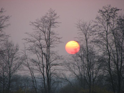 SUNSET_MI_1403.jpg