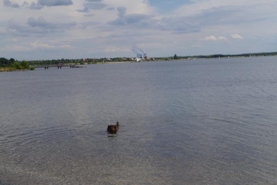 IMGP0893.JPG