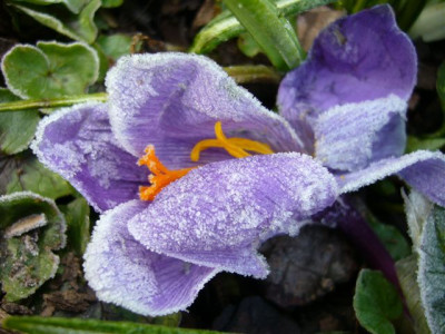 15.03.2007.JPG