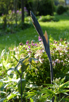 2018-04-19 Gartenimpressionen 2.jpg