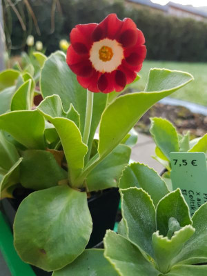 20180418_065835.jpg